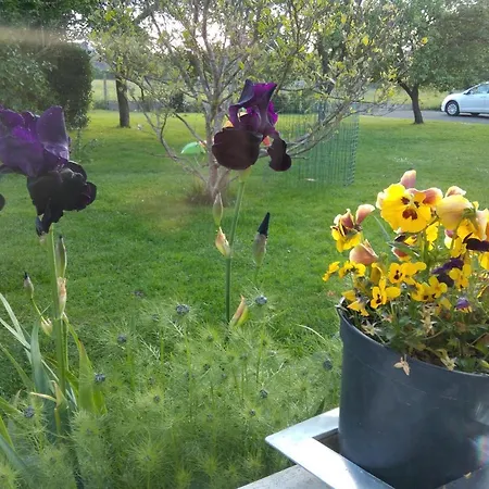 D'hote A 15 Min Du Circuit Des 24h Du Mans Bed & Breakfast